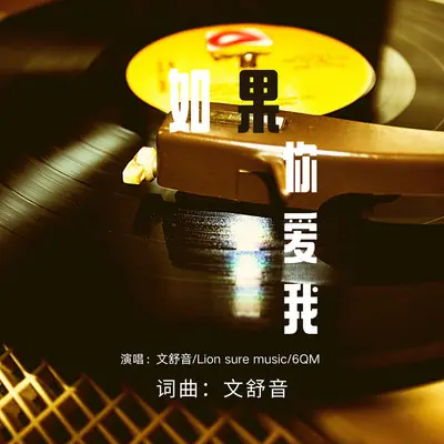 如果你爱我 - 文舒音 / Lion sure music / 6QM封面