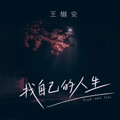 找自己的人生(DJ九零版)封面