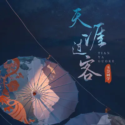 天涯过客（完整版）封面