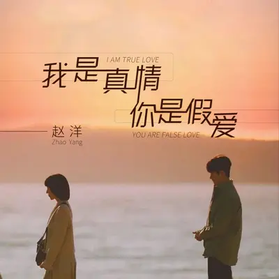 我是真情你是假爱 (DJ默涵版)封面