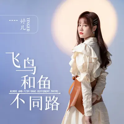 飞鸟和鱼不同路 (DJ默涵版)封面