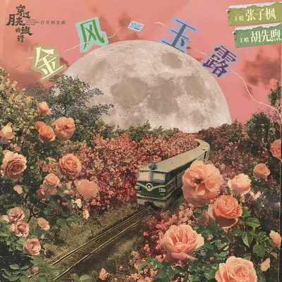 金风玉露（电影《穿过月亮的旅行》月光相恋曲）封面