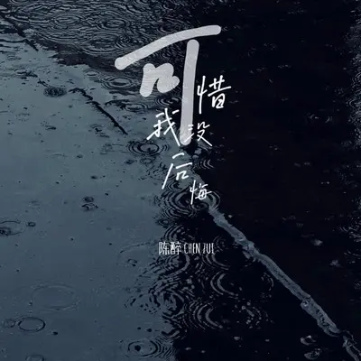 可惜我没后悔封面