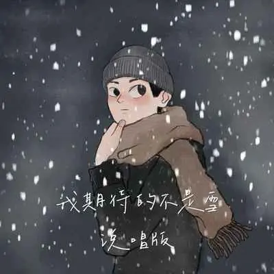 我期待的不是雪 (说唱版)封面