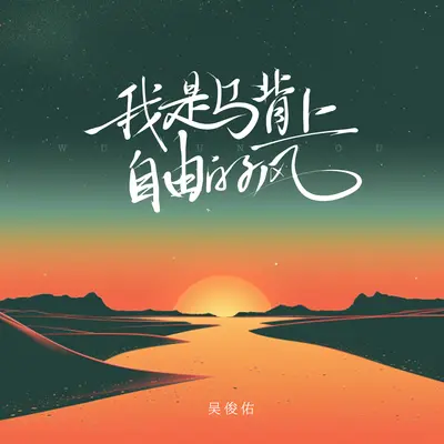 我是马背上自由的风封面