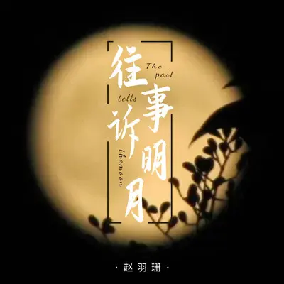往事诉明月 (DJ默涵版)封面