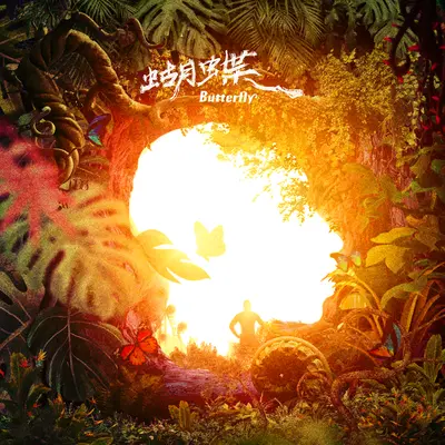 和平鸽封面