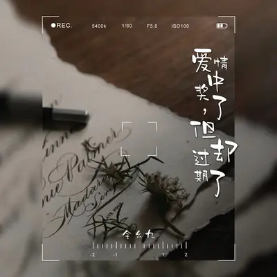 爱情中奖了，但却过期了封面