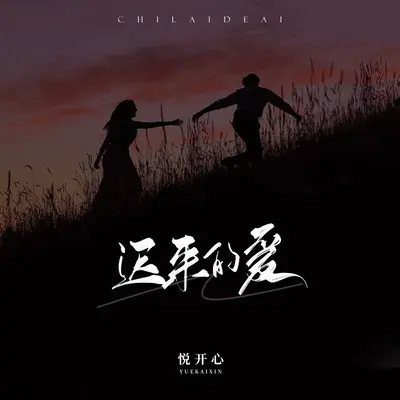 迟来的爱封面