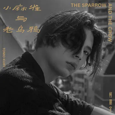 小麻雀与老乌鸦 (Lo-Fi Edit) [Sped Up](伴奏) - 柯朋宇封面