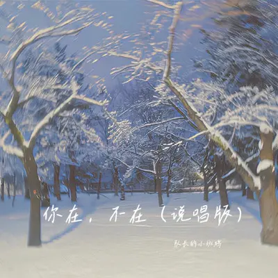 你在，不在 (说唱版)封面