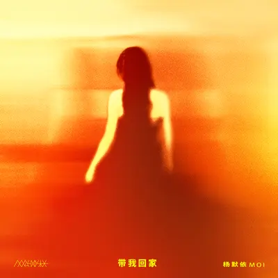 带我回家封面