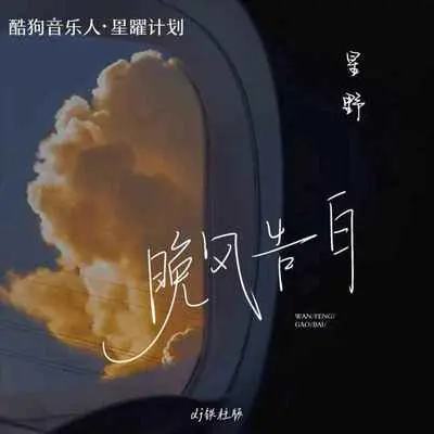 晚风告白 (DJ铁柱版)封面