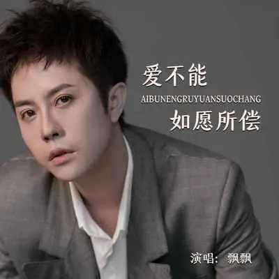 爱不能如愿所偿(DJR7版伴奏)封面