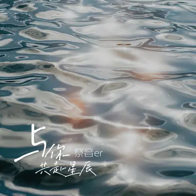 与你共赴星辰封面