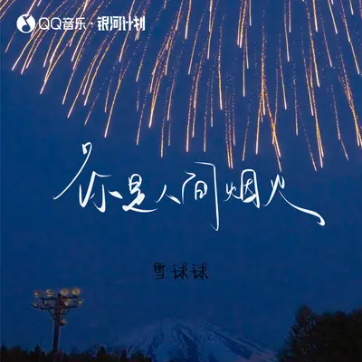 你是人间烟火封面