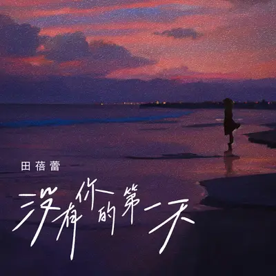 没有你的第一天(伴奏)封面
