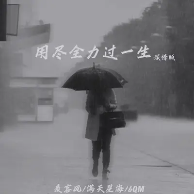 用尽全力过一生 (深情版)封面