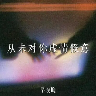 从未对你虚情假意封面