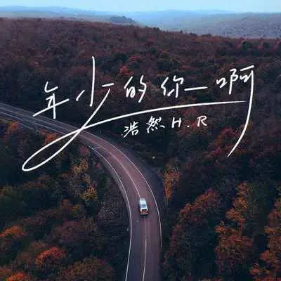 年少的你啊 (DJR7版0.8x)封面