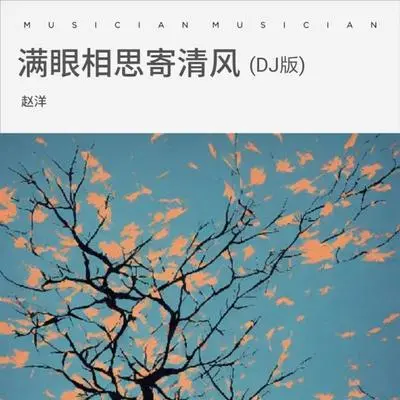 满眼相思寄清风（DJ版） - 赵洋封面