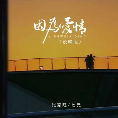 因为爱情（说唱版）封面