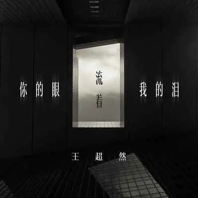 你的眼流着我的泪封面