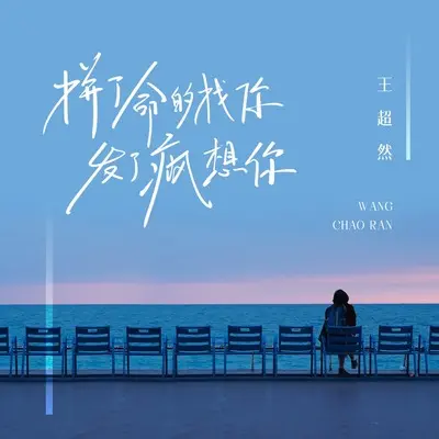 拼了命的找你发了疯想你(DJ久乐版伴奏) - 王超然封面