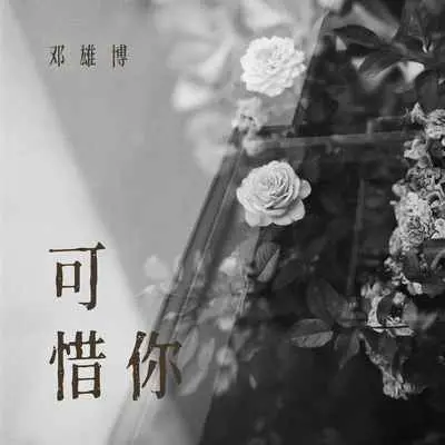 可惜你(0.9X伴奏)封面