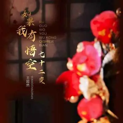 如果我有悟空七十二变封面