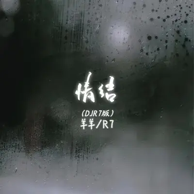 情结 (DJR7版)封面
