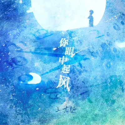 你眼中起风封面