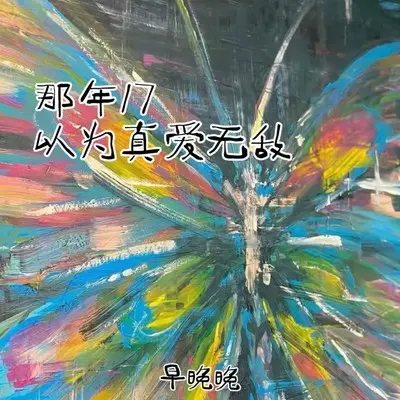 那年17 以为真爱无敌封面