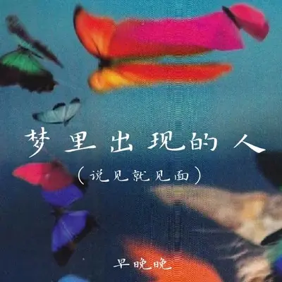 梦里出现的人 (说见就见面)封面