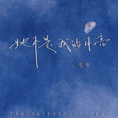 她不是我的月亮封面
