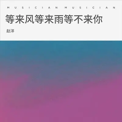 等来风等来雨等不来你 (伴奏) - 赵洋封面