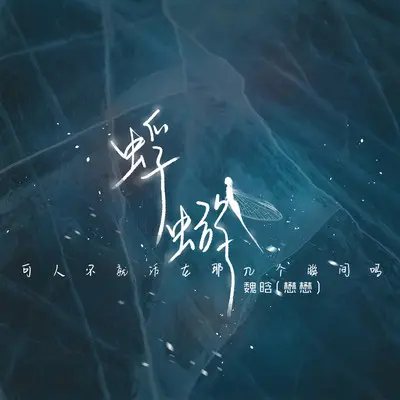 蜉蝣 (可人不就活在那几个瞬间吗)封面