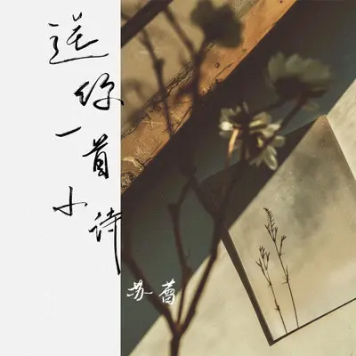 送你一首小诗封面
