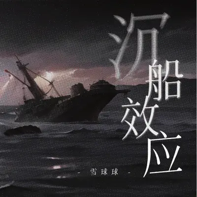 沉船效应封面