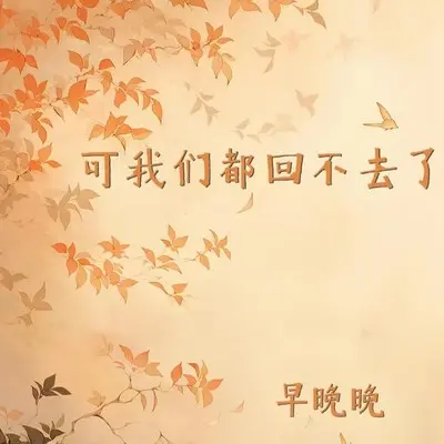 可我们都回不去了封面