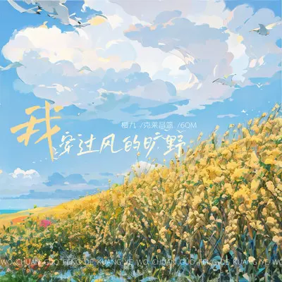 我穿过风的旷野封面