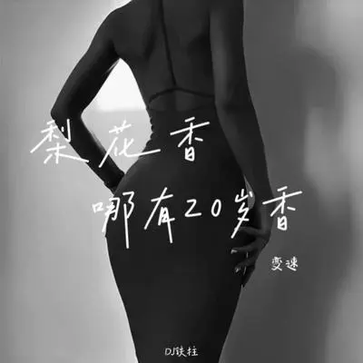 霜雪千年（变速DJ版） - DJ铁柱封面