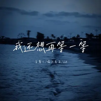 我还想再等一等封面