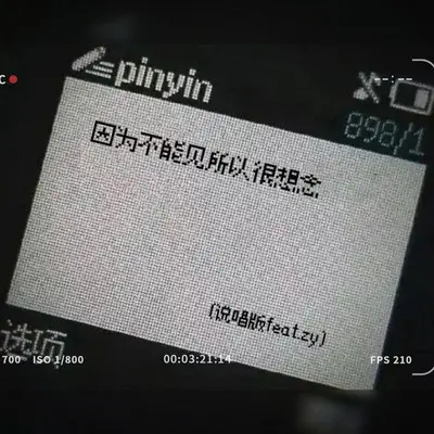 因为不能见所以很想念(说唱版feat.zy)封面