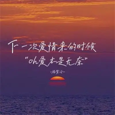 下一次爱情来的时候 (oh爱本是无奈)封面