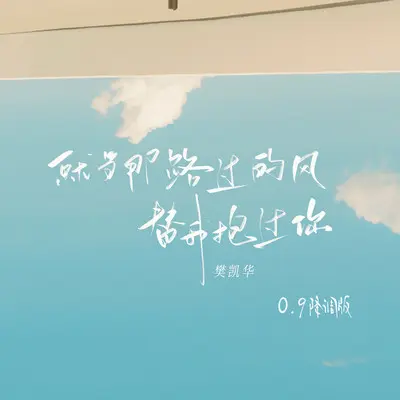 就当那路过的风替我抱过你(0.9降调版)封面