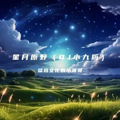 星月原野x0.9（DJ小九变调版）封面