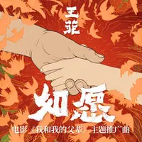 如愿封面
