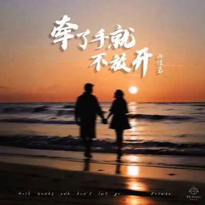 牵了手就不放开封面