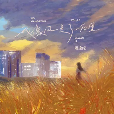 我像风走了一万里 (伴奏) - 潘逸纭封面